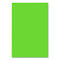 Pacon Spectra Art Tissue, 23 lb Tissue Weight, 20 x 30, Spring Green, 24/Pack (P0059112)