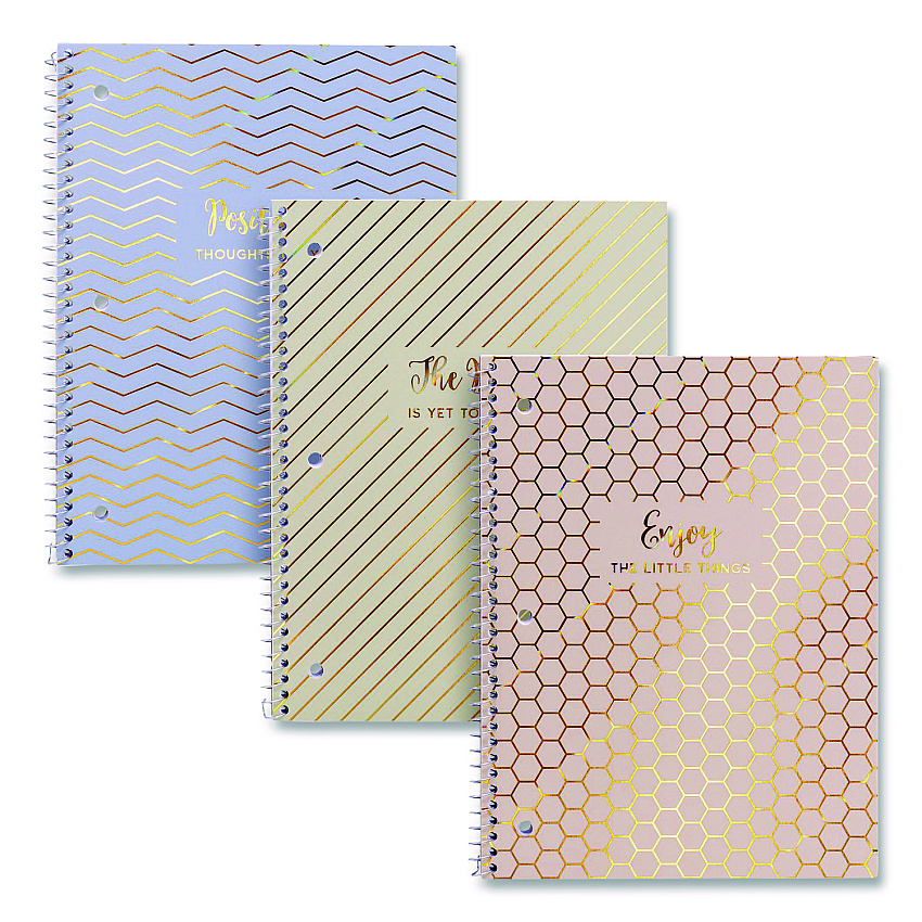 PUKKA PAD 1-Subject Notebook, Medium/College Rule, Assorted Haze Cover Colors, (50) 10.5 x 8 Sheets, 3/Pack (9978ASTHZE)