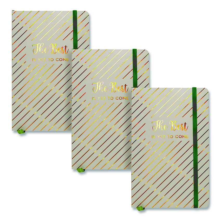 PUKKA PAD Journal, 1-Subject, Medium/College Rule, Green Haze Cover, (96) 8.3 x 5.8 Sheets, 3/Pack (9977GNHZE)