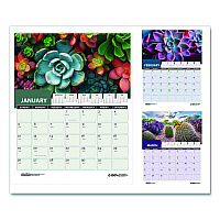 House of Doolittle Recycled Succulent and Cacti Wall Calendar, 14 x 11, Multicolor Sheets, 12-Month (Jan-Dec): 2026 (317)