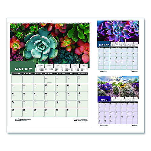 House of Doolittle Recycled Succulent and Cacti Wall Calendar, 14 x 11, Multicolor Sheets, 12-Month (Jan-Dec): 2026 (317)