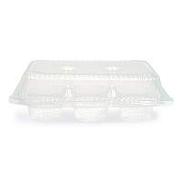 Plastifar Bakery Containers, Muffin/Cupcake, 7.25 x 9.88 x 3.13, Clear, 250/Carton (18200)