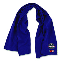 ergodyne Chill-Its 6606FR FR Cooling Towel, Modacrylic Knit, One Size Fits Most, Blue (12437)