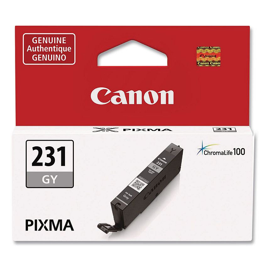 Canon 6678C001 (CLI-231) Ink, 800 Page-Yield, Gray