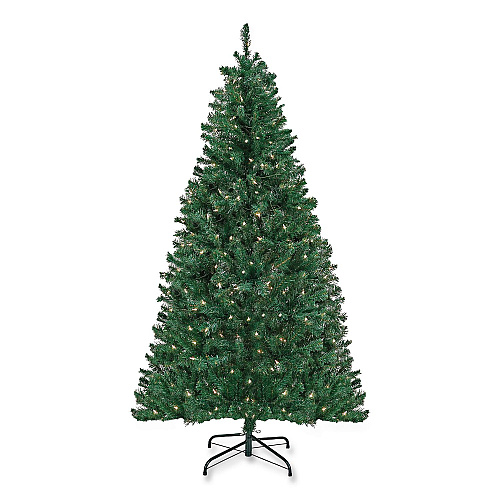 National Tree Company Pre-Lit Acacia Tree, 37" x 37" x 70.8", Green Tree, Green Tree Stand (AC10030860)