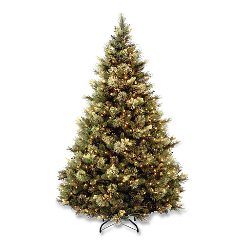 National Tree Company Pre-Lit Carolina Pine Tree, 55" x 55" x 78", Green Tree, Green Tree Stand (CAP330665)