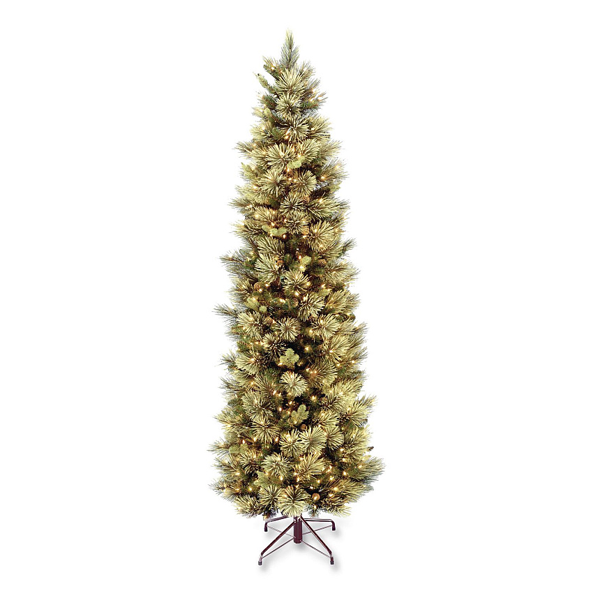 National Tree Company Pre-Lit Carolina Pine Slim Tree, 29" x 29" x 78", Green Tree, Green Tree Stand (CAP333065)