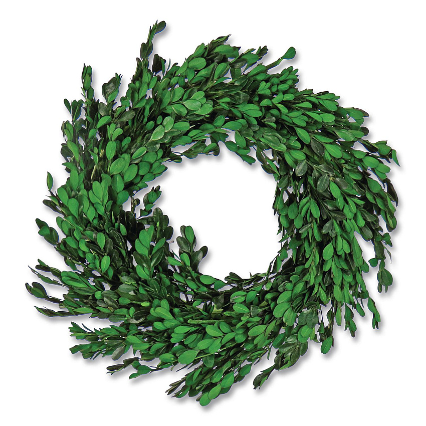 National Tree Company Spring Boxwood Wreath, 18" x 18" x 3.93", Green (EG79MH187181)