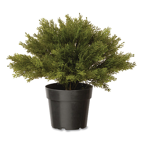 National Tree Company Artificial Globe Juniper, 15" x 15" x 15", Green Plant, Green Pot (LCB4151)