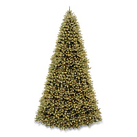 National Tree Company Pre-Lit Downswept Douglas Fir Tree, 92" x 92" x 144", Green Tree, Green Tree Stand (PEDD1312120)