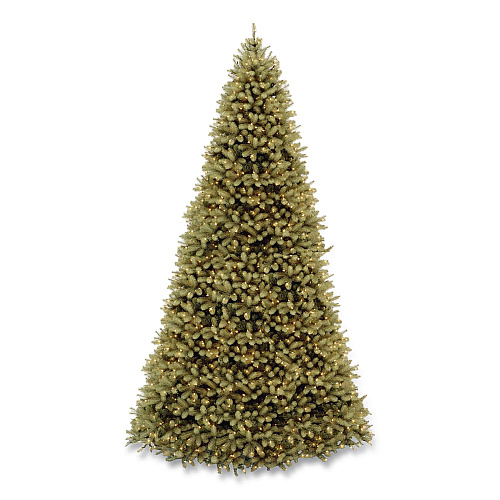 National Tree Company Pre-Lit Downswept Douglas Fir Tree, 92" x 92" x 144", Green Tree, Green Tree Stand (PEDD1312120)