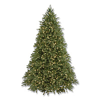 National Tree Company Pre-Lit Grande Fir Pencil Slim Tree, 78" x 78" x 108", Green Tree, Green Tree Stand (PEJF130090)