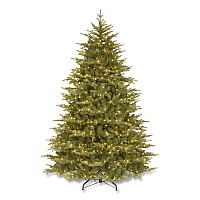 National Tree Company Pre-Lit Nordic Spruce Medium Tree, 69" x 69" x 108", Green Tree, Green Tree Stand (PENS130790)