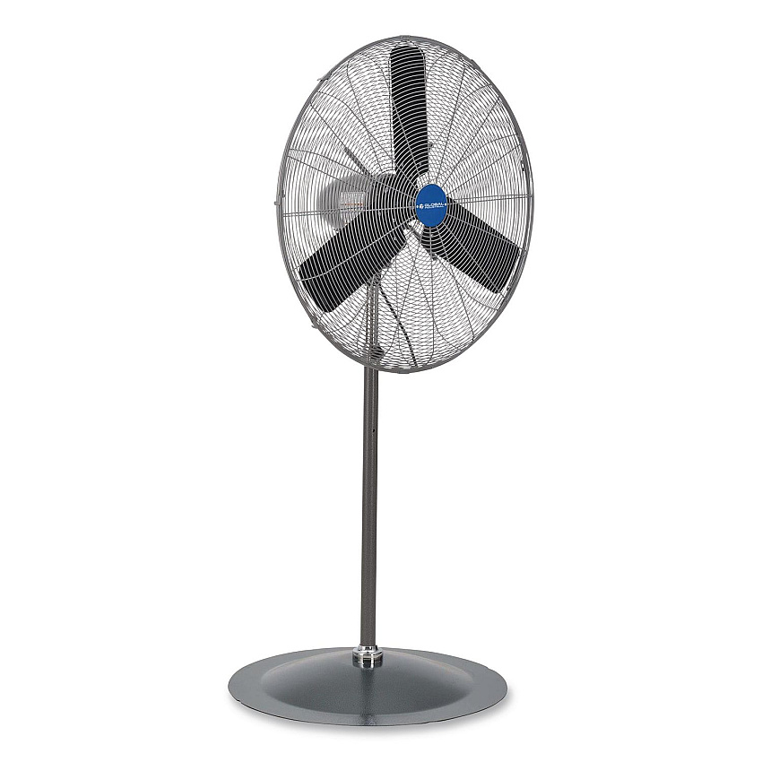 Global Industrial Oscillating Pedestal Fan, 30", 3-Speed, Gray (585280)
