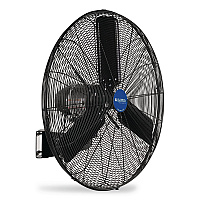Global Industrial 2 Speed Oscillating Outdoor Rated Wall Mount Fan, 30" (292451)
