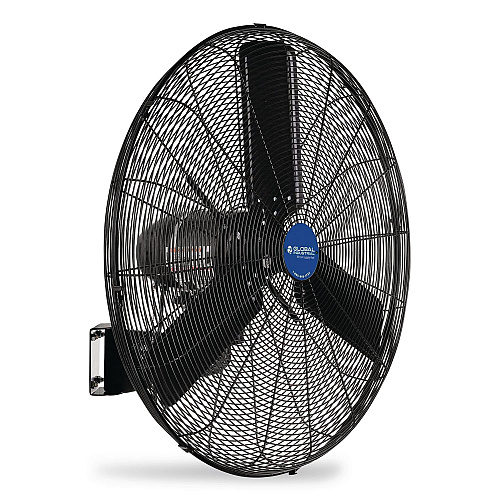 Global Industrial 2 Speed Oscillating Outdoor Rated Wall Mount Fan, 30" (292451)
