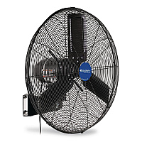 Global Industrial 2-Speed Oscillating Outdoor Rated Wall Mount Fan, 24" (292450)