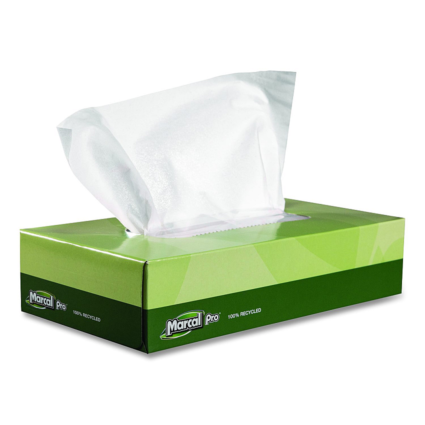 Marcal PRO 100% Recycled Convenience Pack Facial Tissue, 2-Ply, White, 100 Sheets/Box, 30/Carton (NP5701)