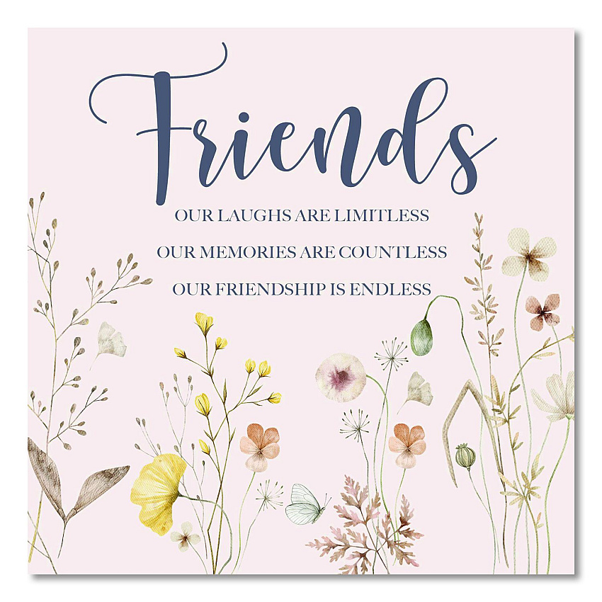 Willow Creek Press Friends Hardcover Book, 96 Pages (49786)