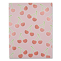 DesignWorks Ink Fruit Themed Laminated Two-Pocket Folder, Randomly Assorted Designs, 3-Hole Punched, 11 x 8.5, Randomly Assorted Colors (TPFA114ST)