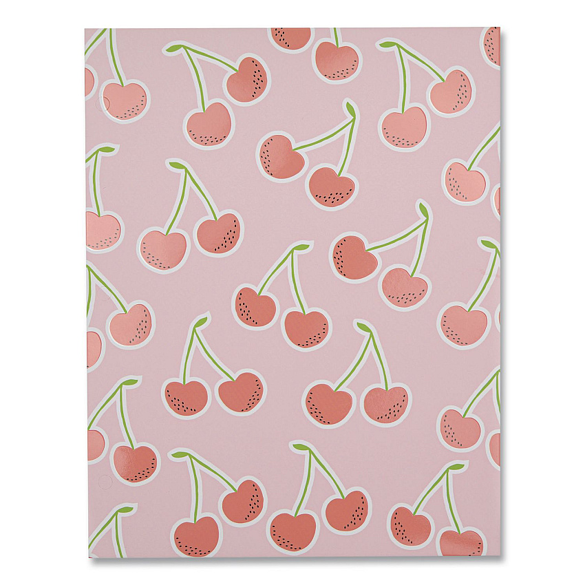 DesignWorks Ink Fruit Themed Laminated Two-Pocket Folder, Randomly Assorted Designs, 3-Hole Punched, 11 x 8.5, Randomly Assorted Colors (TPFA114ST)