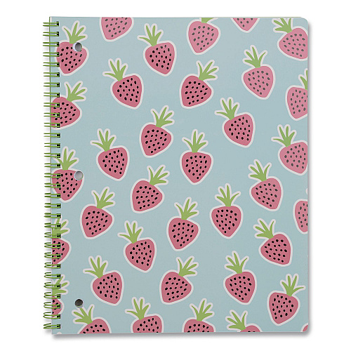 DesignWorks Ink Twin-Wire Notebook, Randomly Assorted Banana and Strawberry Cover Designs, 1-Subject, Wide/Legal Rule, (80) 10.5 x 8.5 Sheets (TTWSA114ST)