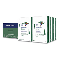Hammermill Premium Color Copy Print Paper, 100 Bright, 28 lb Bond Weight, 8.5 x 14, Photo White, 500 Sheets/Ream, 8 Reams/Carton (102475CT)