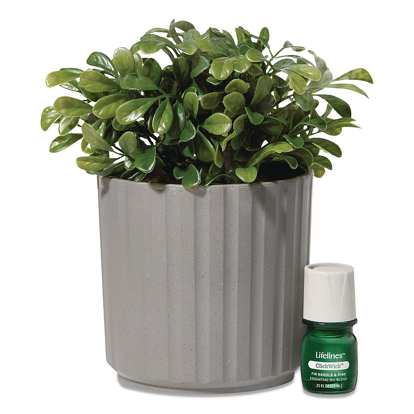 Lifelines Evaporative Aromatherapy Essential Oil Boxwood Plant Diffuser with Fir Needle/Pine Essential Oil, 6.2 x 6.2 x 9.5, Gray/Green (111611)