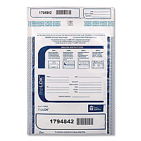 TripLOK Deposit Bag, Plastic, 9" x 12", White, 100/Pack (585032)