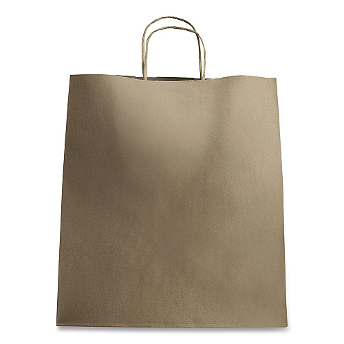 Karat Huntington Paper Shopping Bag, Rope Handles, Large Size, 13.4 x 9.3 x 15.9, Kraft, 200/Carton (FPSB130)