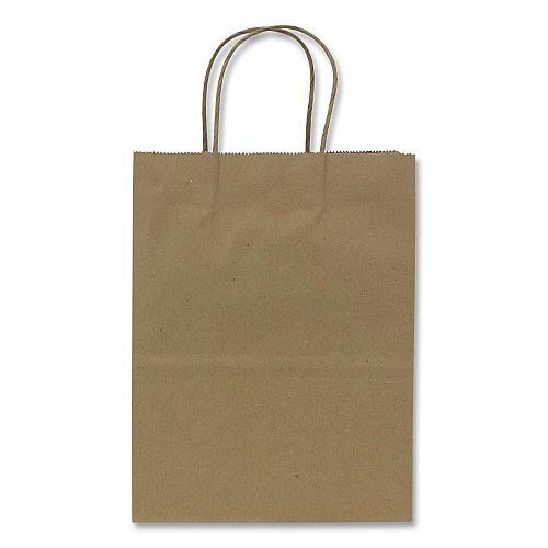 Karat Paper Shopping Bag, Rope Handles, Small Size, 8.1 x 4.5 x 10.6, Kraft, 250/Carton (FPSB100)