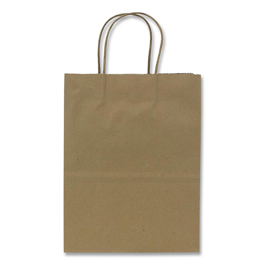 Karat Paper Shopping Bag, Rope Handles, Small Size, 8.1 x 4.5 x 10.6, Kraft, 250/Carton (FPSB100)