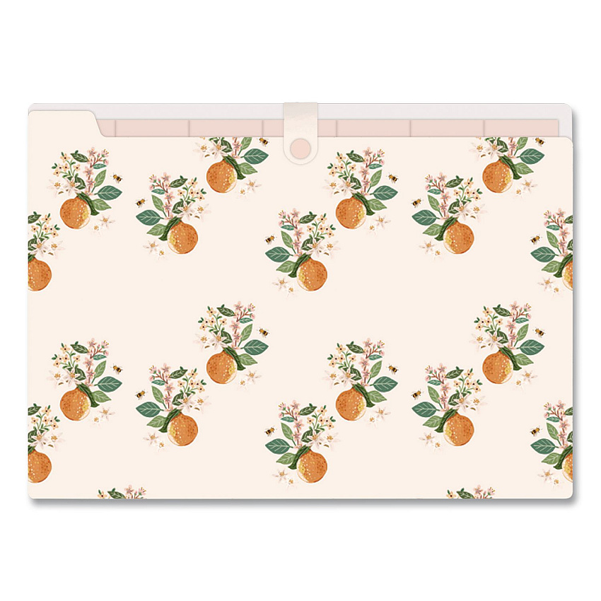 Blue Sky 7-Tab Plastic Accordion File, 7 Sections, Snap Closure, Top Tabs, Legal Size, Oranges Light (155609)