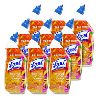 LYSOL Brand Clinging Gel Brand New Day Toilet Bowl Cleaner, Mango and Hibiscus, 24 oz Angle-Neck Bottle, 9/Carton (62018CT)