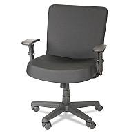 Alera XL Series Big/Tall Mid-Back Task Chair, Supports Up to 500 lb, 17.5" to 21" Seat Height, Black (ALECP210)