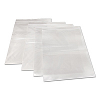BagCo Zippit Resealable Bags, 4 mil, 9" x 12", Clear, 100 Bags/Pack, 5 Packs/Carton (MGZ4P0912)