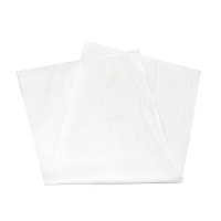 Disposable Bath Towel, Hydrospun, White, 19x44, Medium Duty, Flat, Plus Frame - Case Of 300 (N-GP060FAW)