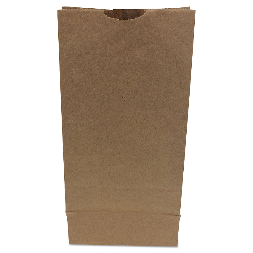 General Grocery Paper Bags, Heavy-Duty, #10 Size, 6.31" x 4.19" x 13.38", Natural, 500/Bundle (GH10500)