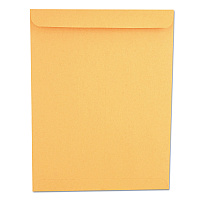 Universal Catalog Envelope, 28 lb Bond Weight Kraft, #13 1/2, Square Flap, Gummed Closure, 10 x 13, Brown Kraft, 250/Box (UNV44165)