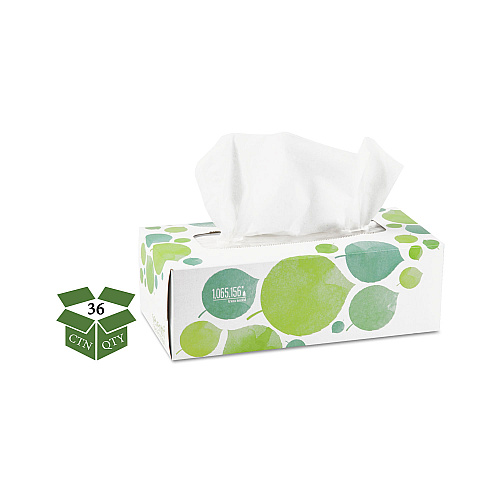 Seventh Generation 100% Recycled Facial Tissue, 2-Ply, 175 Sheets/Box, 36 Boxes/Carton (13712CT)