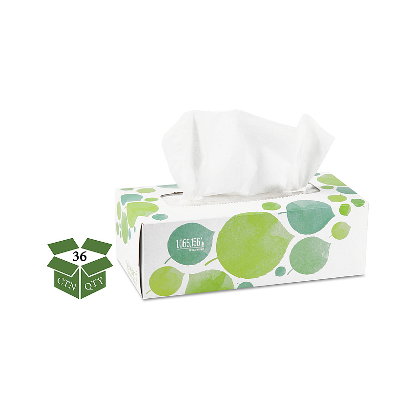Seventh Generation 100% Recycled Facial Tissue, 2-Ply, 175 Sheets/Box, 36 Boxes/Carton (13712CT)