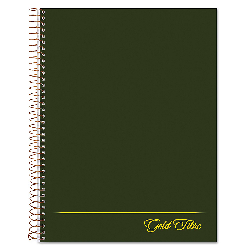 Ampad Gold Fibre Wirebound Project Notes Book, 1-Subject, Project-Management Format, Green Cover, (84) 9.5 x 7.25 Sheets (20816)