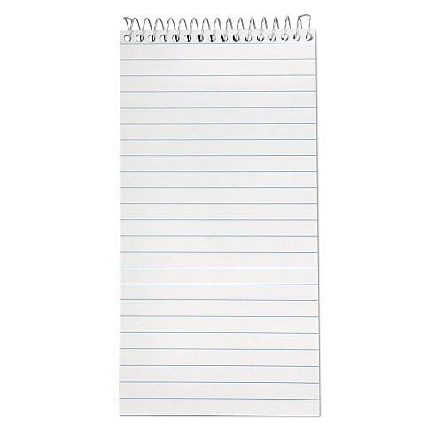 Earthwise by Ampad Recycled Reporter's Notepad, Gregg Rule, White Cover, 70 White 4 x 8 Sheets (25280)