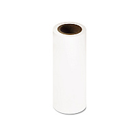 Epson Proofing Paper Roll, 7.1 mil, 13" x 100 ft, White (S042144)