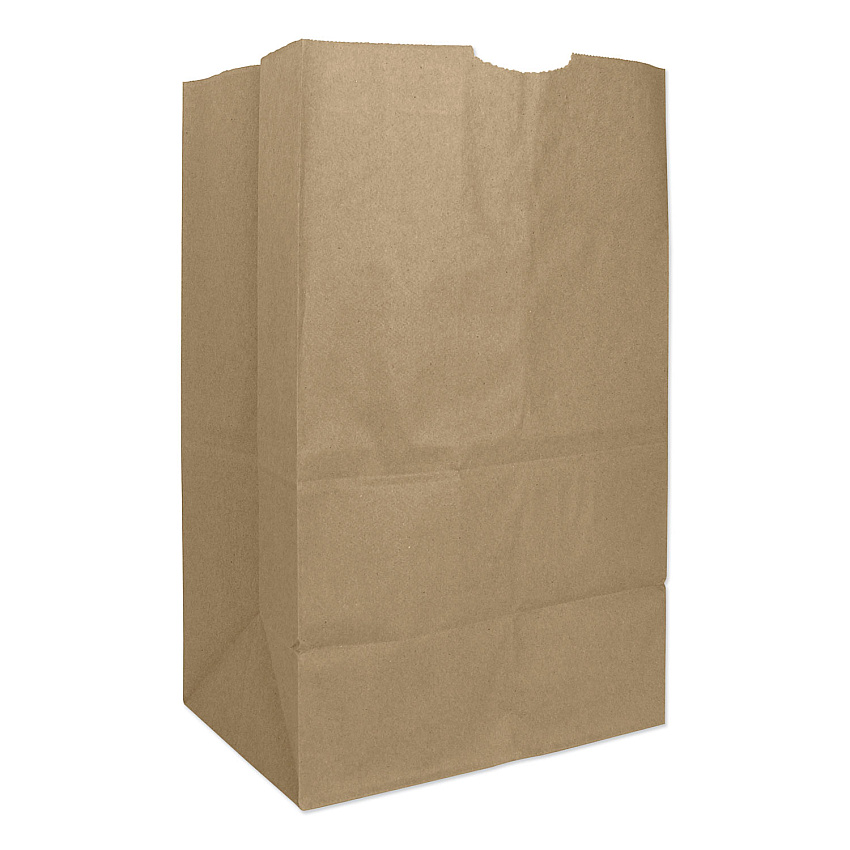 General Grocery Paper Bags, Heavy-Duty, #20 Squat Size, 8.25" x 5.94" x 13.38", Natural, 500/Bundle (GH20S)