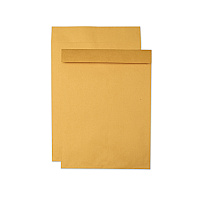 Quality Park Jumbo Size Kraft Envelope, Cheese Blade Flap, Fold-Over Closure, 15 x 20, Brown Kraft, 25/Pack (42355)