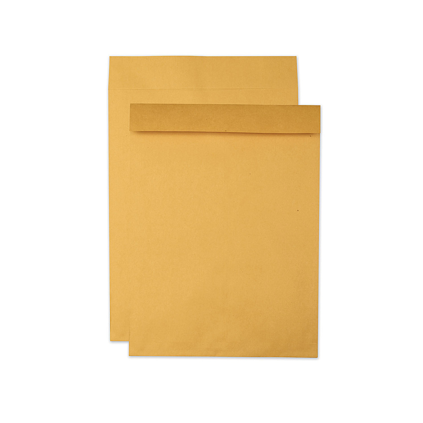 Quality Park Jumbo Size Kraft Envelope, Cheese Blade Flap, Fold-Over Closure, 15 x 20, Brown Kraft, 25/Pack (42355)