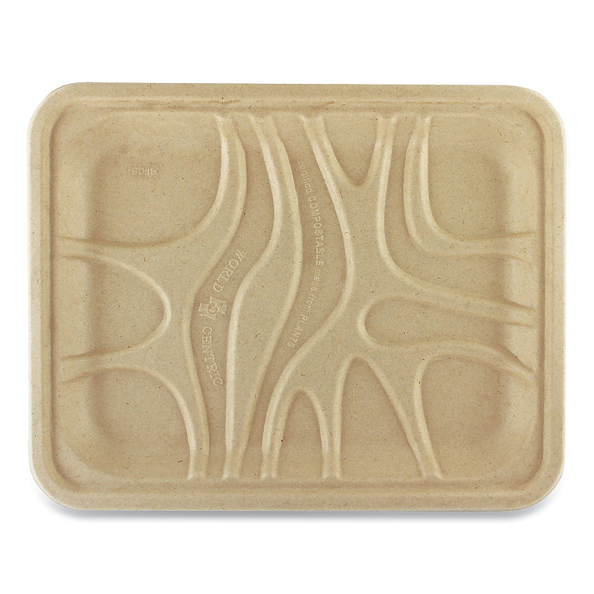 World Centric Fiber Trays, 1-Compartment, 9.1 x 7.1 x 0.7, Natural, Paper, 500/Carton (TRSC4S)