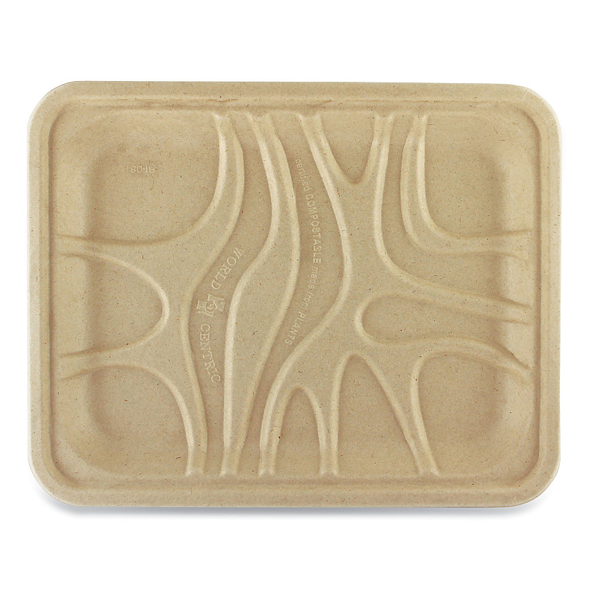 World Centric Fiber Trays, PLA Lined, PFAS Free, 1-Compartment, 9.1 x 7.1 x 0.7, Natural, Paper, 500/Carton (TRSC4SLLF)