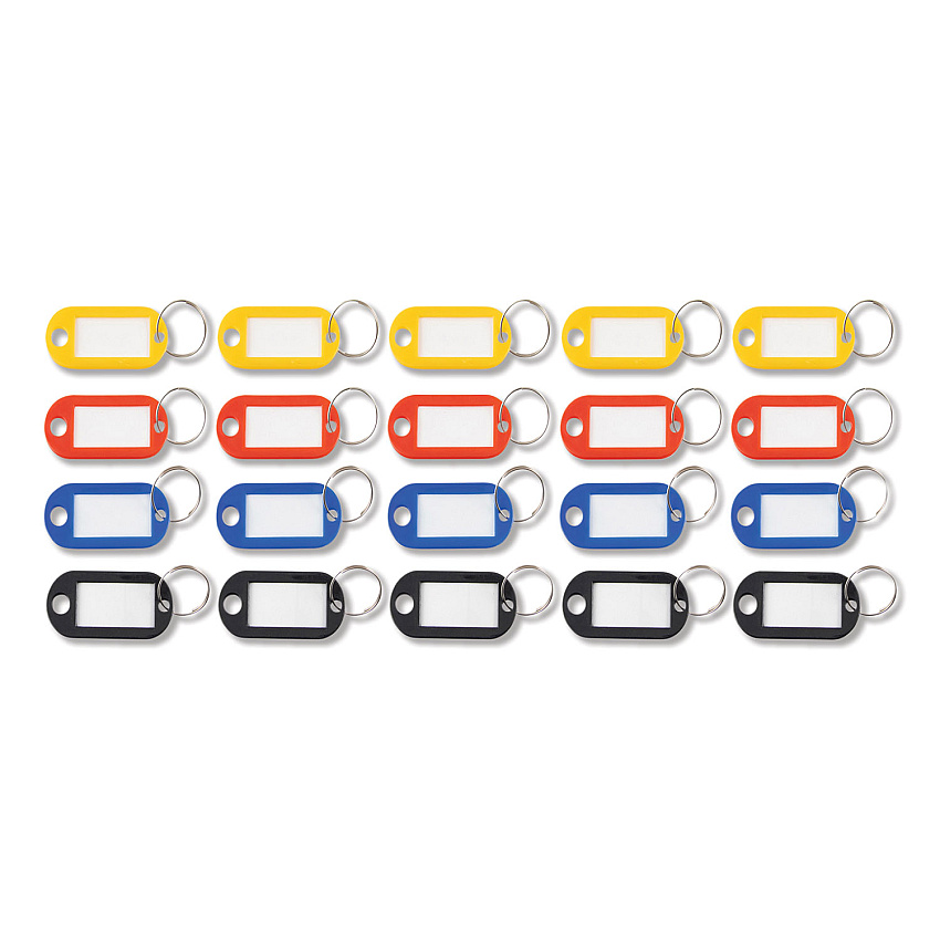 Advantus Key Tags Label Window, 0.88 x 0.19 x 2, Assorted, 20/Pack (KEY98007)